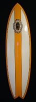 6'8" fish surfboard - $450
